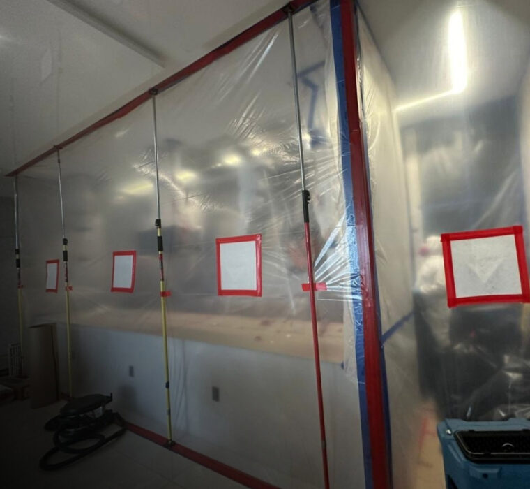 Mold Remediation Atlanta