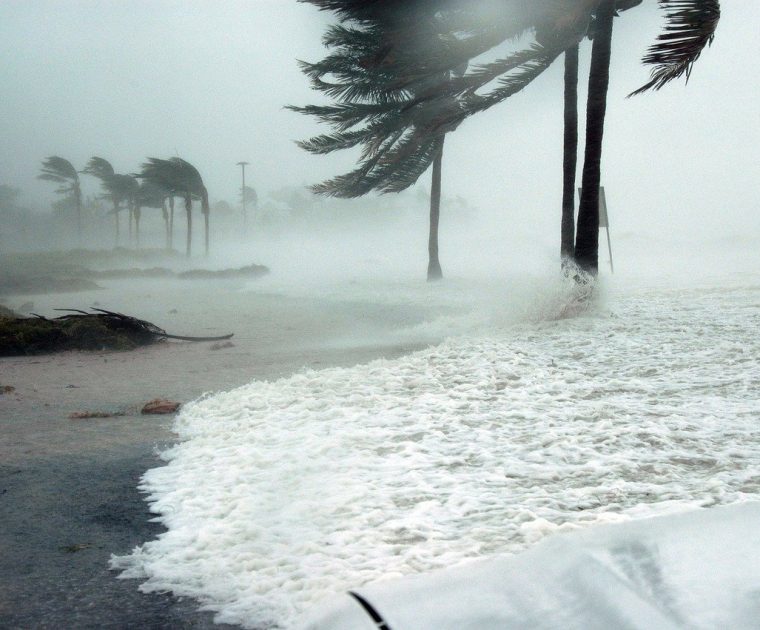 Hurricane Preparedness: 8 Tips To Define Your Plan