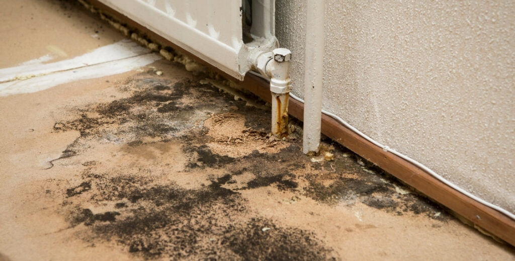 Mold prevention in humid climates