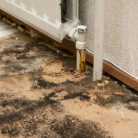 Mold prevention in humid climates