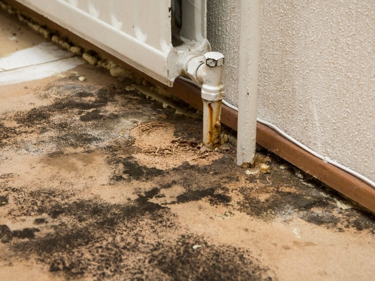 Mold prevention in humid climates