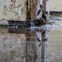 Urgent Water Damage Response