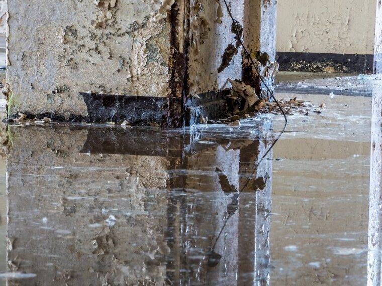 Urgent Water Damage Response